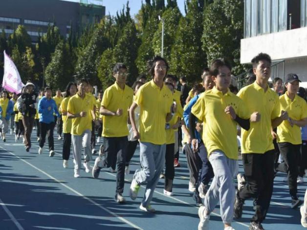 mmexport1668233558481,mmexport1668233573689,_DSC9786,IMG_20221112_193841